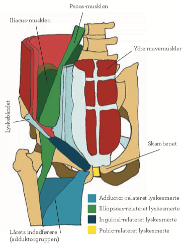 I lysken øm Psoas