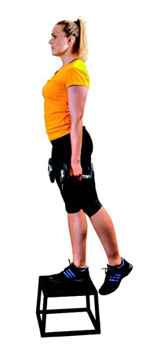 lunges1