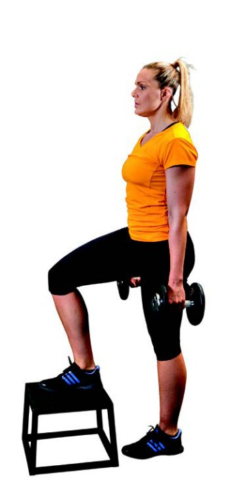 lunges2